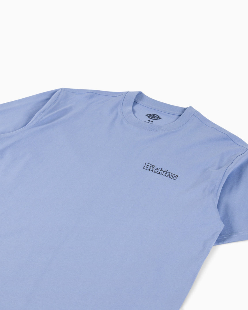 Dickies Fairlawn SS Erkek T-Shirt