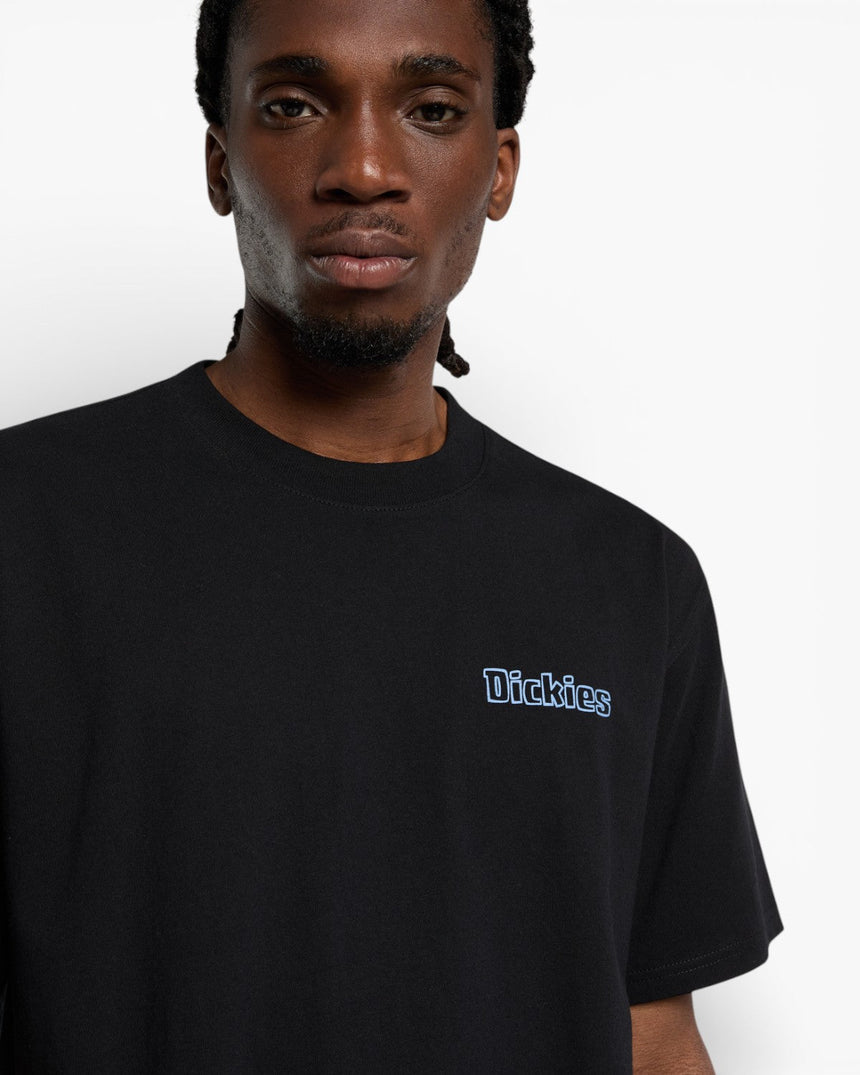 Dickies Fairlawn SS Erkek T-Shirt