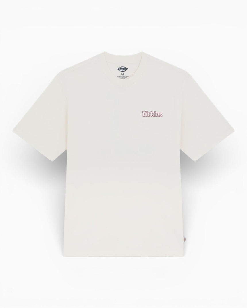 Dickies Fairlawn SS Erkek T-Shirt