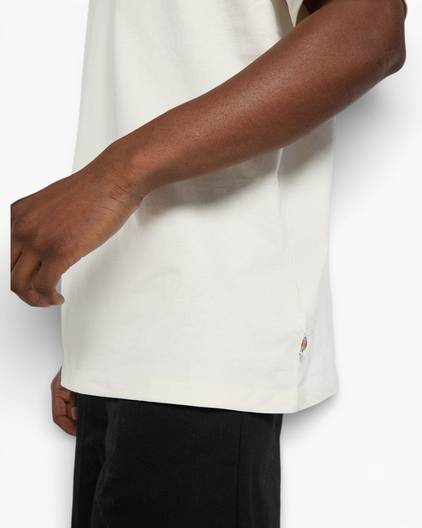 Dickies Fairlawn SS Erkek T-Shirt