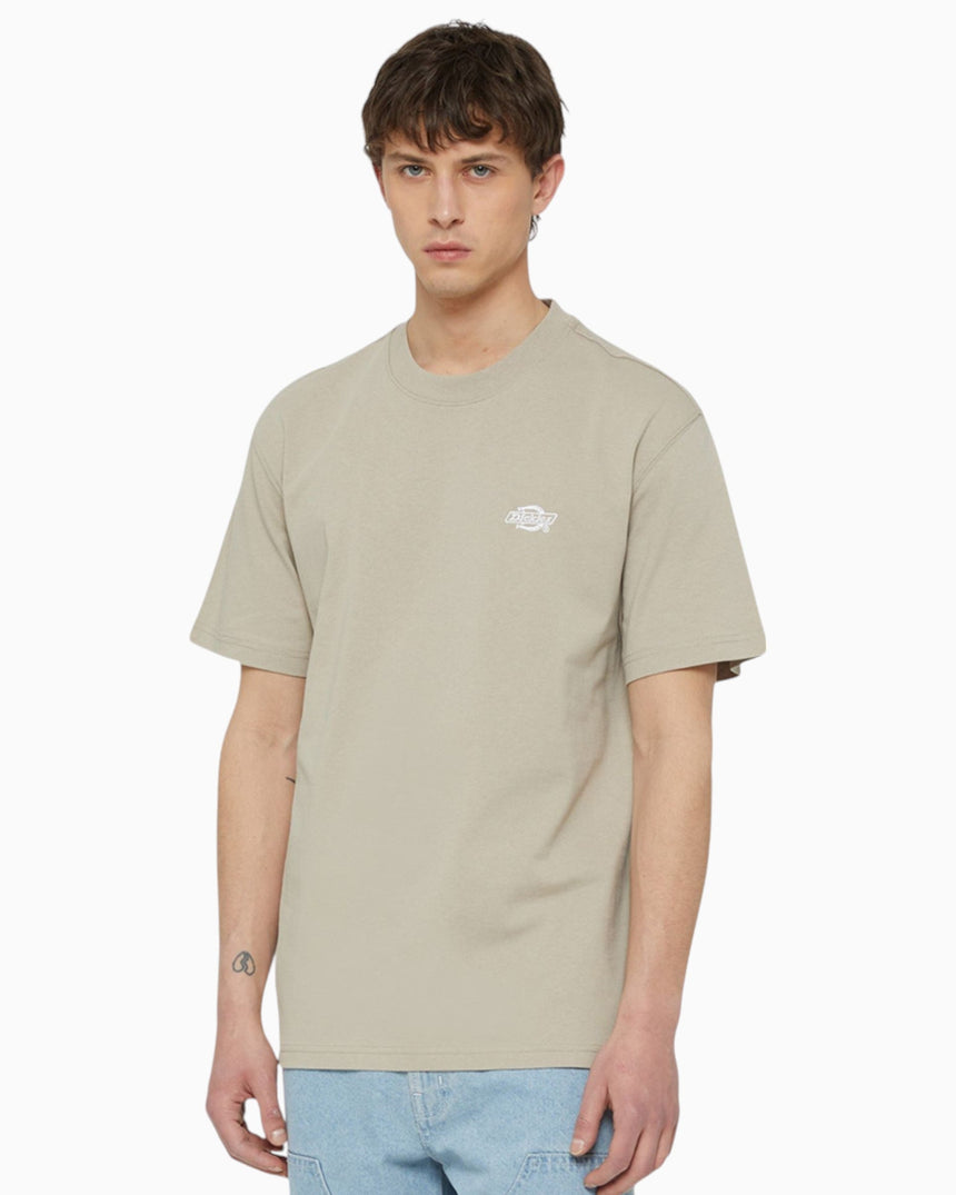 Dickies Summerdale Erkek T-Shirt
