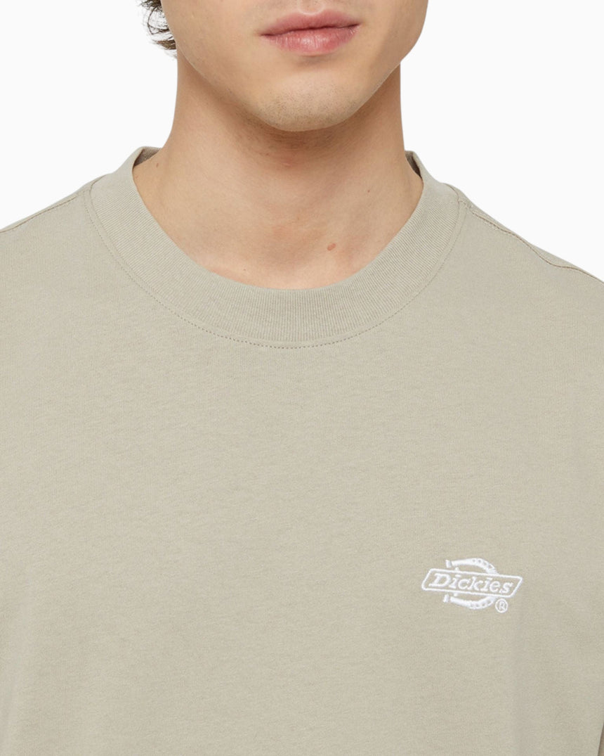 Dickies Summerdale Erkek T-Shirt
