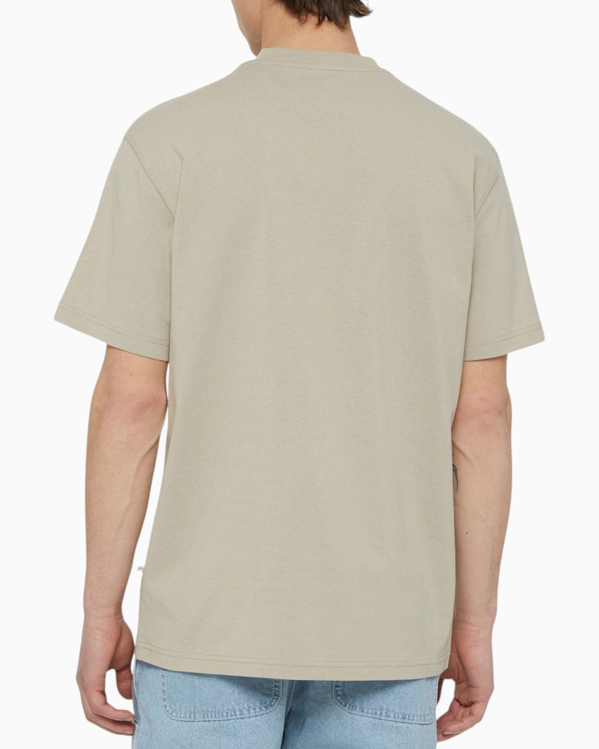 Dickies Summerdale Erkek T-Shirt