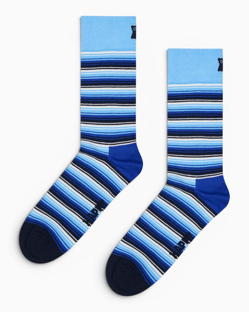 Happy Socks Navy Gift Set 4 Pack Çorap