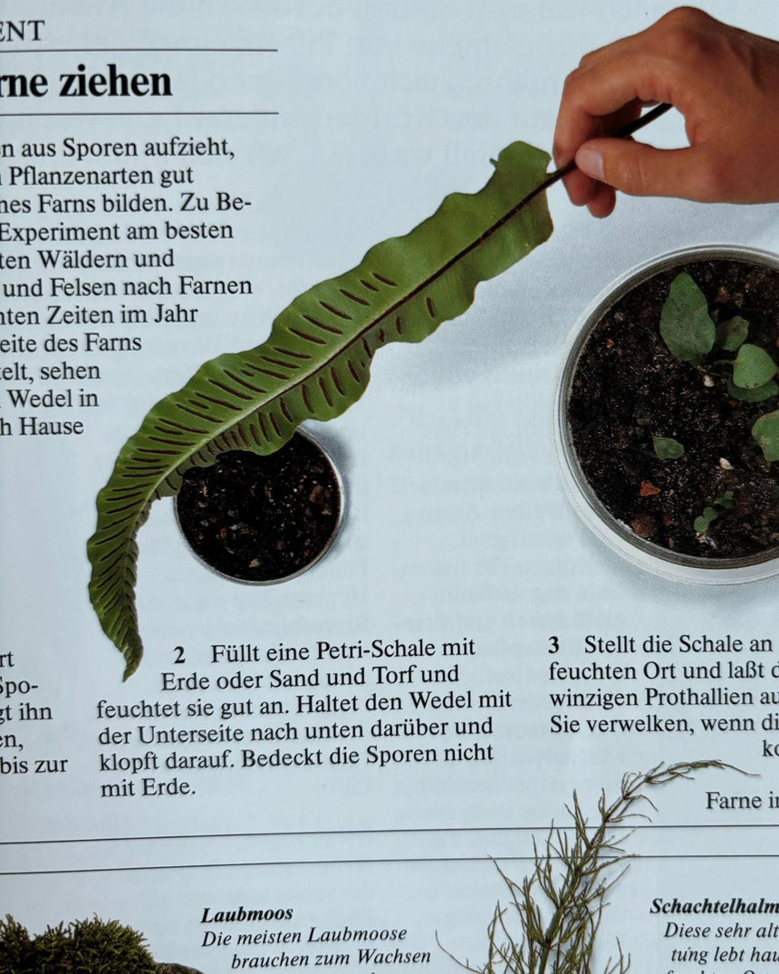 Pestil Books for vitruta Reich Der Natur: Ein Buch für die ganze Familie