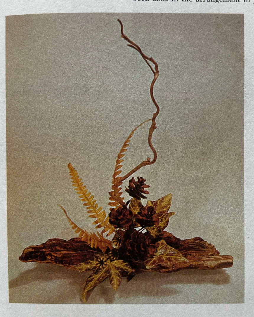 Pestil Books for vitruta The Art of Preserved Flower Arrangement