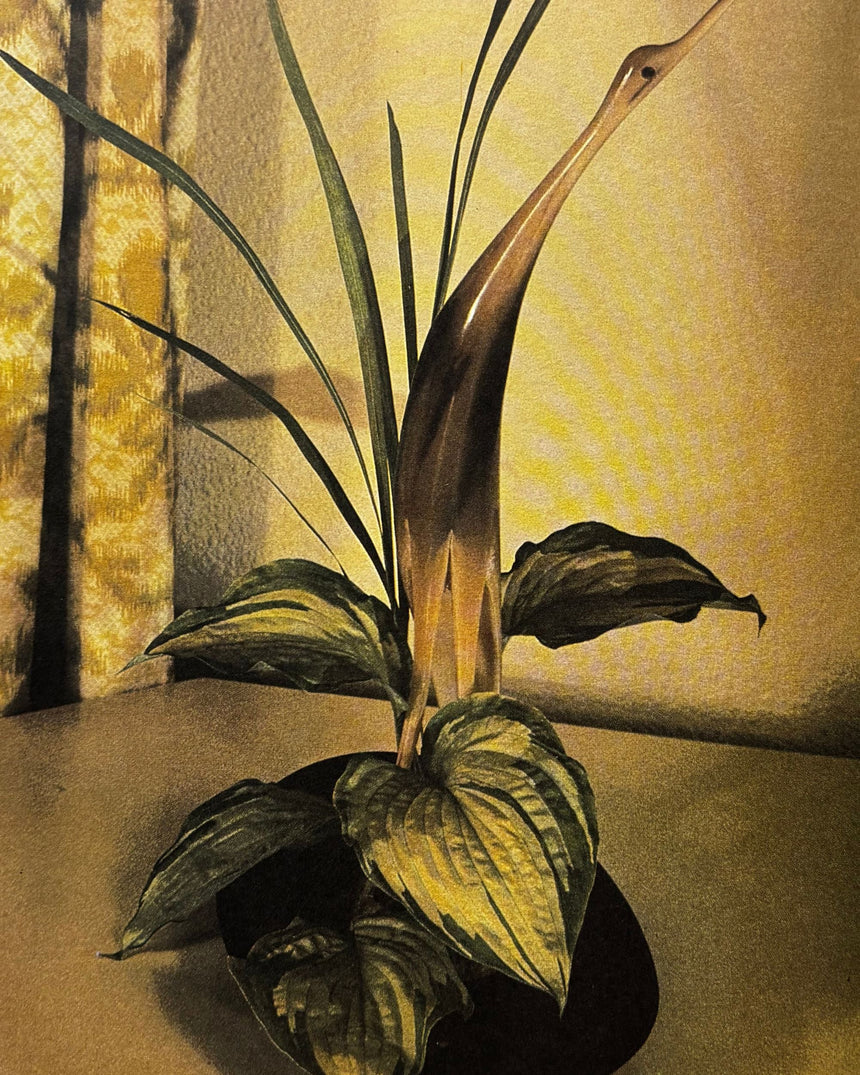 Pestil Books for vitruta The Art of Preserved Flower Arrangement