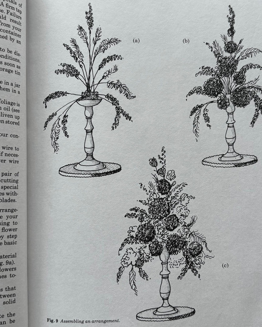 Pestil Books for vitruta The Art of Preserved Flower Arrangement