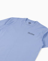 Dickies Fairlawn SS Erkek T-Shirt