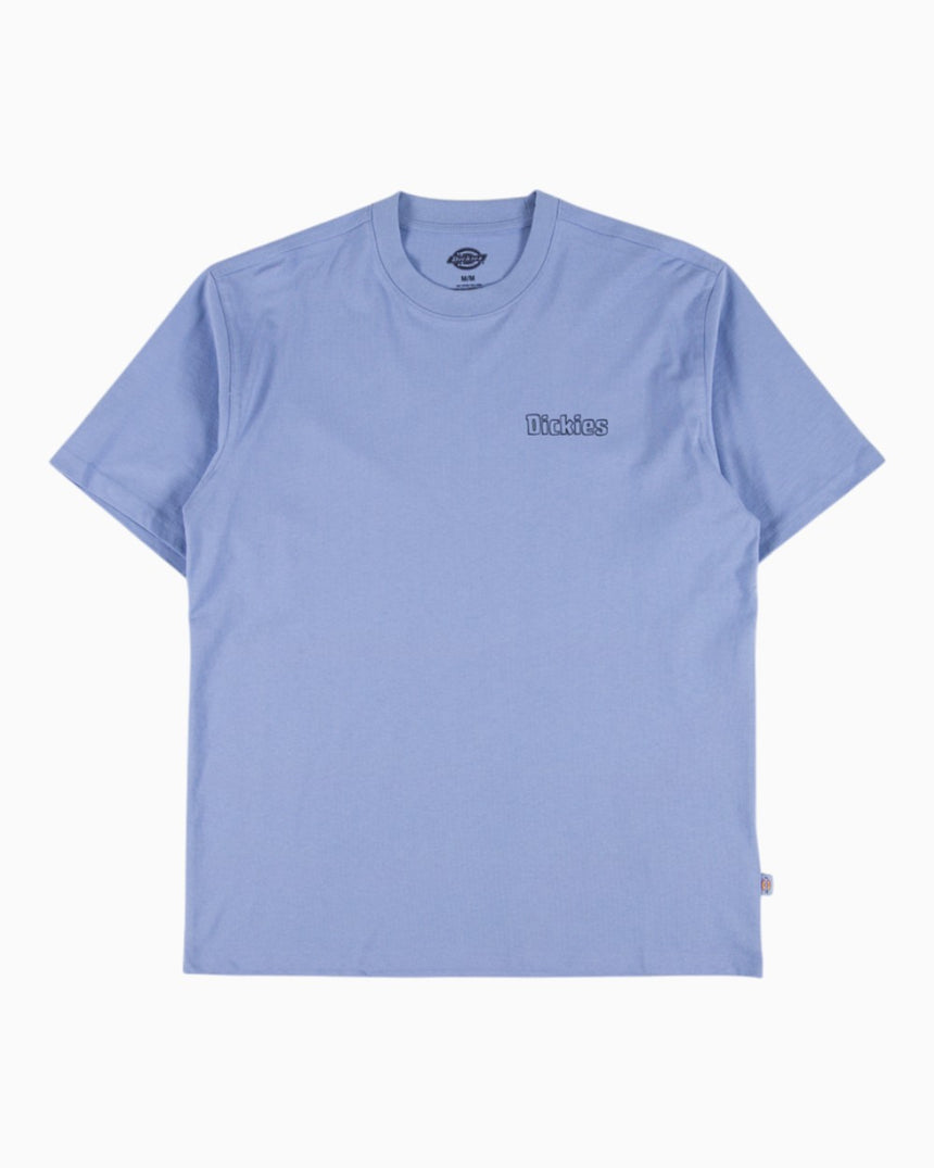 Dickies Fairlawn SS Erkek T-Shirt