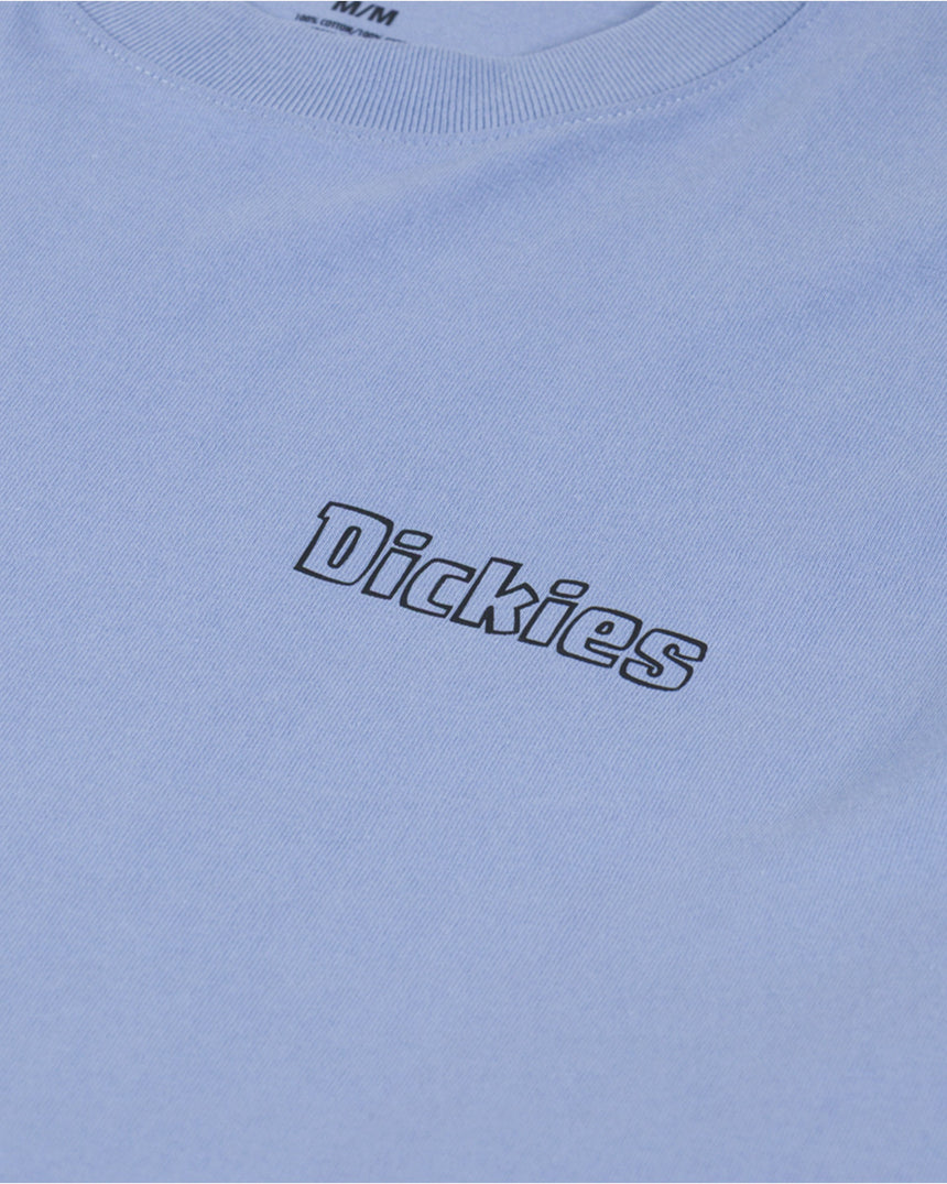 Dickies Fairlawn SS Erkek T-Shirt