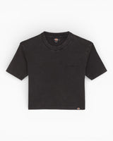 Dickies Plentywood Heavy Weight Kadın T-Shirt Black