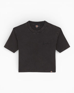 Dickies Plentywood Heavy Weight Kadın T-Shirt Black