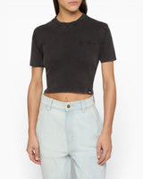 Dickies Plentywood Heavy Weight Kadın T-Shirt