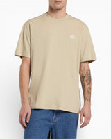 Dickies Summerdale Erkek T-Shirt