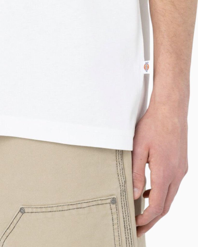 Dickies Summerdale Erkek T-Shirt