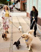 HAY Design Dogs Leash Braided