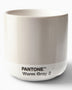 Pantone Cortado Thermo Cup Cool Gray
