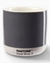 Pantone Latte Thermo Mug Cool Gray