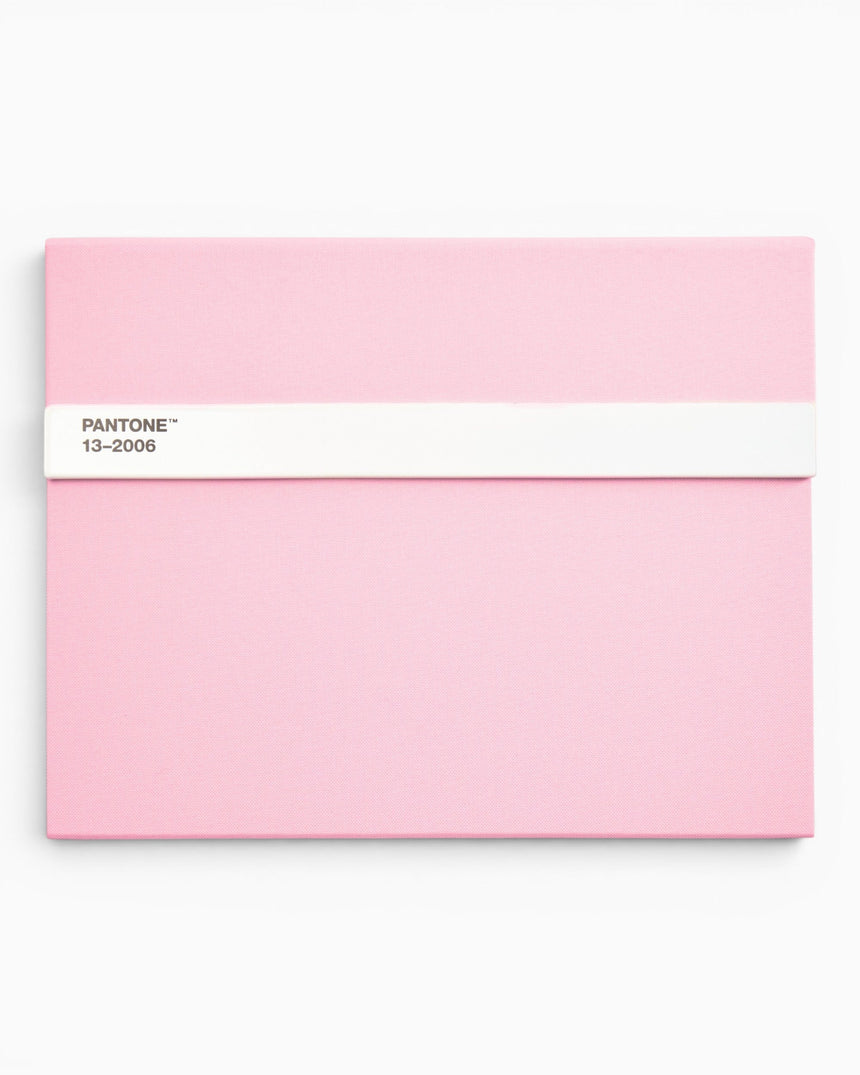 Pantone Notebook W/ Pencil Unlined Light Pink