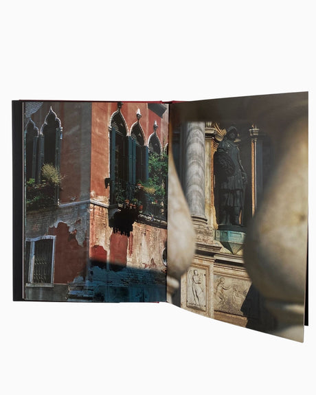 Pestil Books for vitruta Codognato 