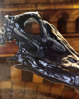 Pestil Books for vitruta Dippy: The Tale of a Museum Icon