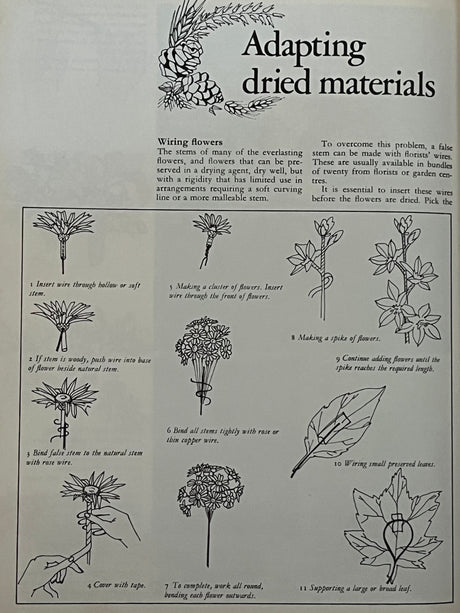 Pestil Books for vitruta Everlasting Flowers