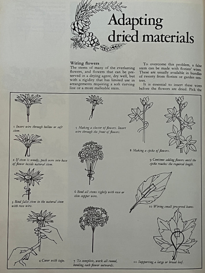 Pestil Books for vitruta Everlasting Flowers