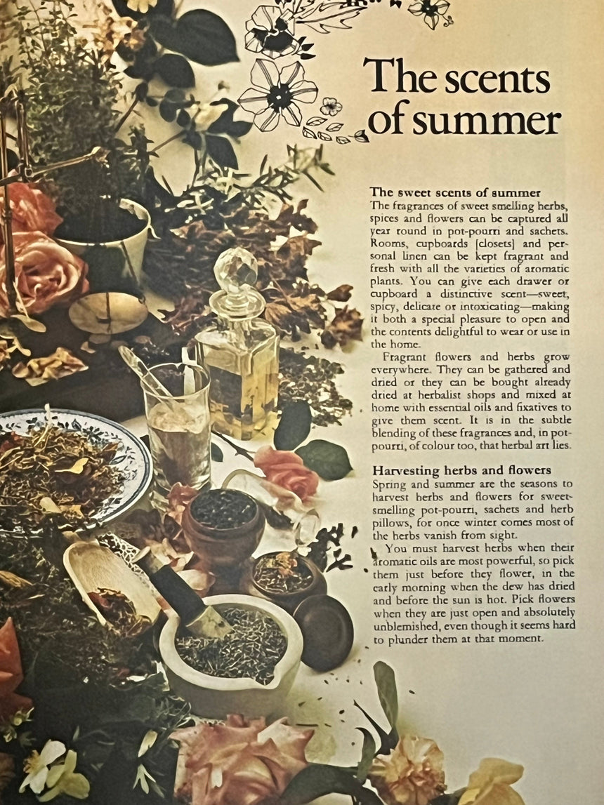 Pestil Books for vitruta Everlasting Flowers