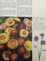 Pestil Books for vitruta Everlasting Flowers