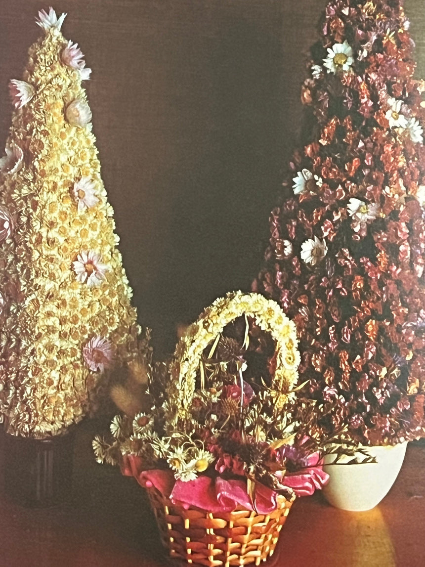 Pestil Books for vitruta Everlasting Flowers