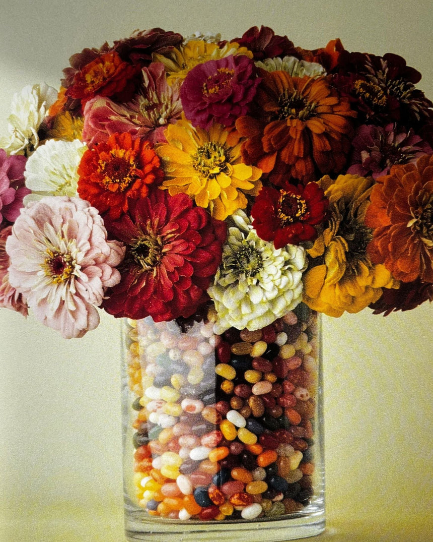 Pestil Books for vitruta Festive Flowers
