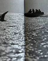 Pestil Books for vitruta Greenpeace