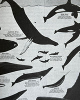 Pestil Books for vitruta Greenpeace