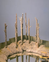 Pestil Books for vitruta Hans Op De Beeck: On Vanishing