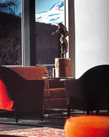 Pestil Books for vitruta HIP HOTELS: SKI