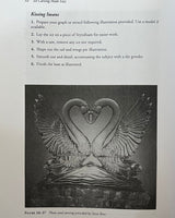 Pestil Books for vitruta Ice Carving