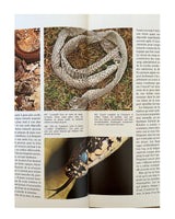 Pestil Books for vitruta Les Reptiles