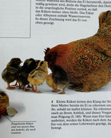 Pestil Books for vitruta Reich Der Natur: Ein Buch für die ganze Familie