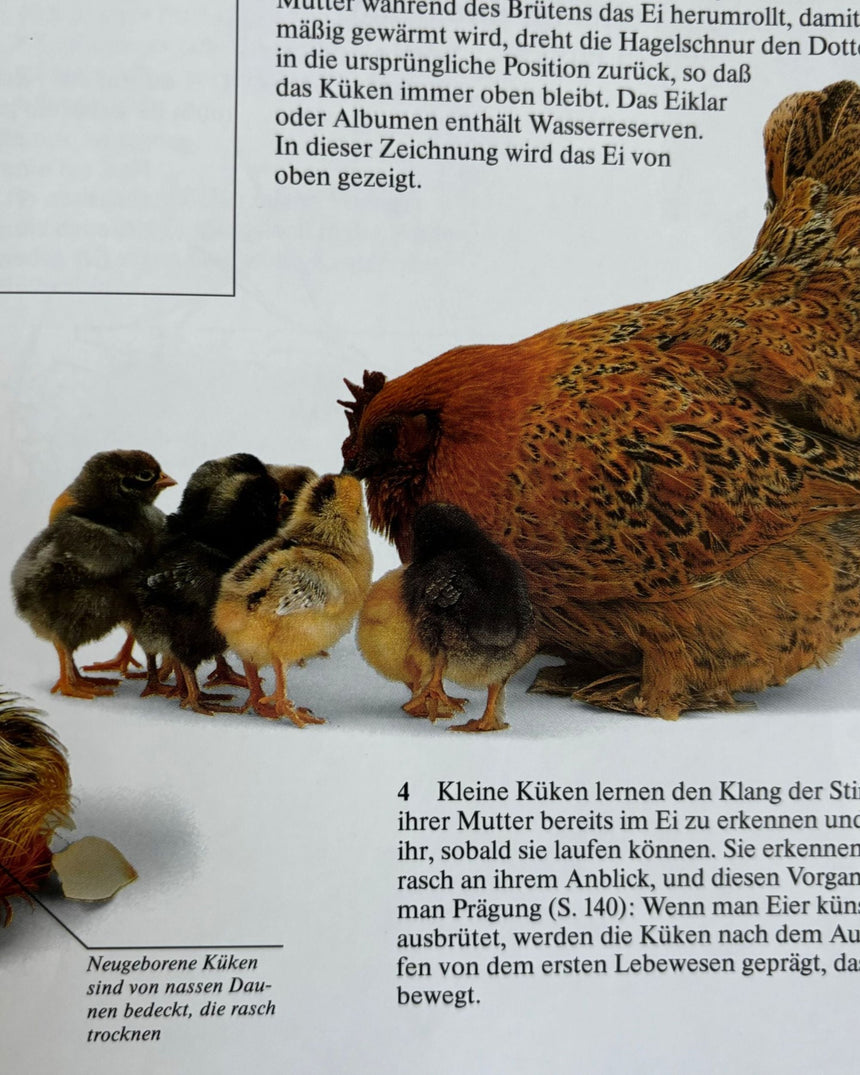 Pestil Books for vitruta Reich Der Natur: Ein Buch für die ganze Familie