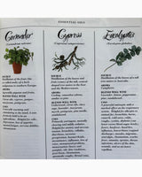 Pestil Books for vitruta The Aromatherapy & Massage Book