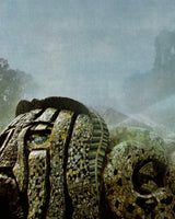 Pestil Books for vitruta The Art and Architecture of Mexico: From 1000 BC to the Present Day
