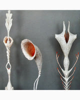 Pestil Books for vitruta The Art and Craft of Paper Making
