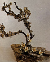 Pestil Books for vitruta The Art of Preserved Flower Arrangement