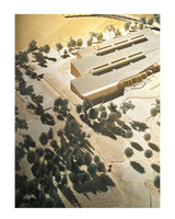 Pestil Books for vitruta The Master Architect Series II: NBBJ Selected and Current Works
