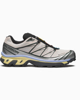 Salomon XT-6 GORE-TEX Kadın Sneaker Silver Cloud/Urban Chic/Shadow Green