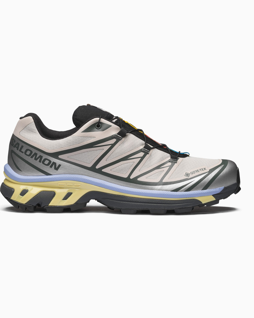 Salomon XT-6 GORE-TEX Kadın Sneaker Silver Cloud/Urban Chic/Shadow Green